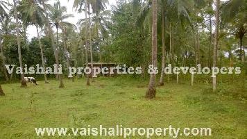  Residential Plot for Sale in Areekkad, Kozhikode