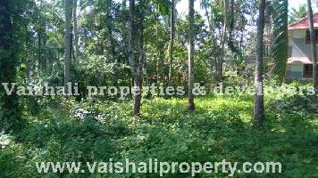  Residential Plot for Sale in Calicut, Kozhikode