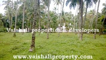  Residential Plot for Sale in Chelavoor, Kozhikode
