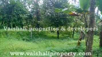  Commercial Land for Sale in Kattippara, Kozhikode