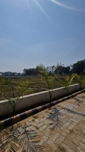 Bihta, Patna photo 2