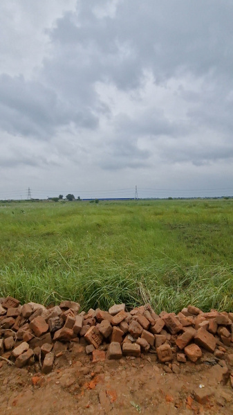 Khushrupur, Patna photo 4