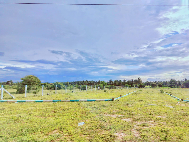  Residential Plot 2 Cent for Sale in Kinathukadavu, Coimbatore