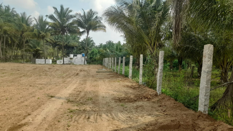 1 RK Farm House 10000 Sq.ft. for Sale in Chettipalayam, Coimbatore