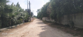  Residential Plot for Sale in Dankaur, Greater Noida