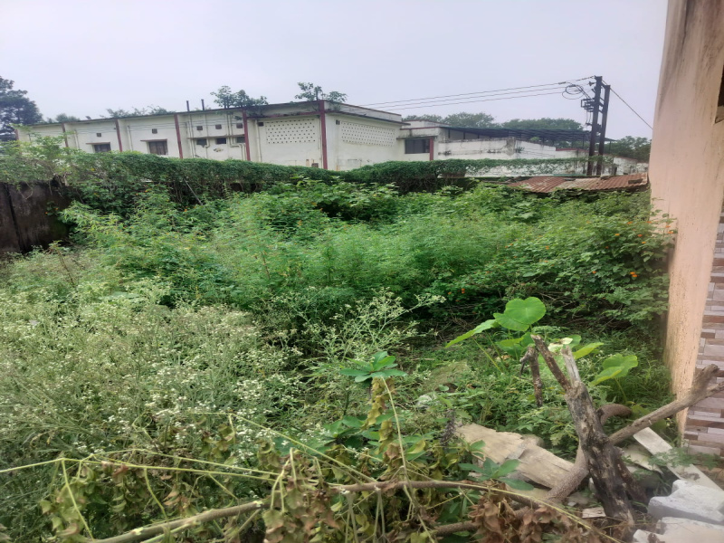  1150 Sq.ft. Residential Plot for Sale in Prem Nagar, Dehradun