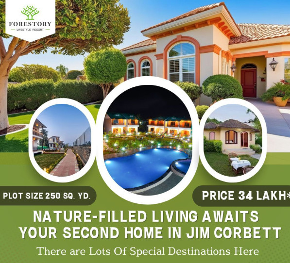  Residential Plot 250 Sq.ft. for Sale in Kaladhungi Road, Haldwani
