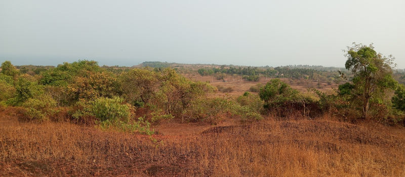  Residential Plot 36000 Sq. Meter for Sale in Corcalim, Goa