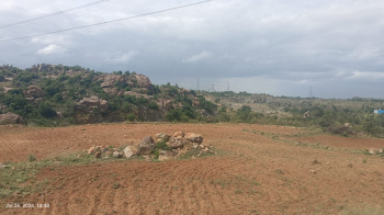  Agricultural Land for Sale in Nallampalli, Dharmapuri