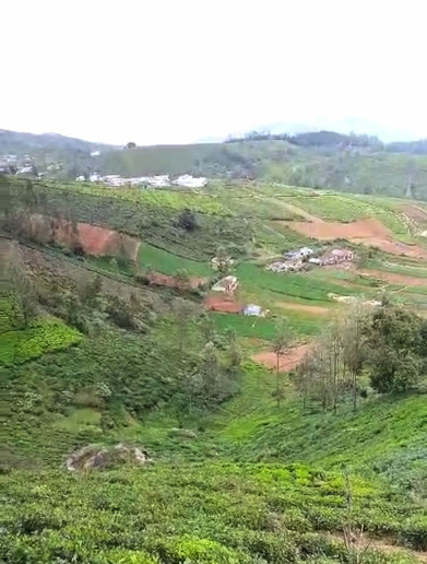  Agricultural Land 78 Cent for Sale in Kathadimattam, Ooty