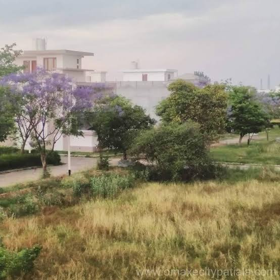  350 Sq. Yards Residential Plot for Sale in Omaxe City, Patiala