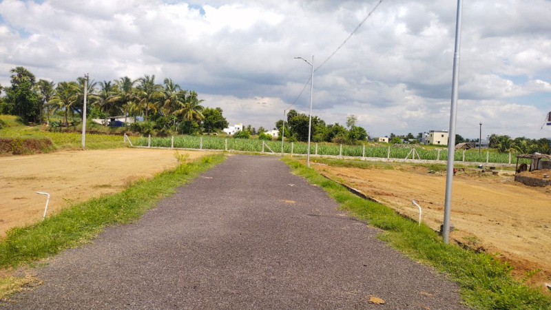  Residential Plot 1200 Sq.ft. for Sale in Omalur, Salem