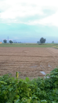  Agricultural Land for Sale in Sohna, Gurgaon