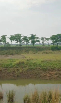  Agricultural Land for Sale in Harnaut, Nalanda