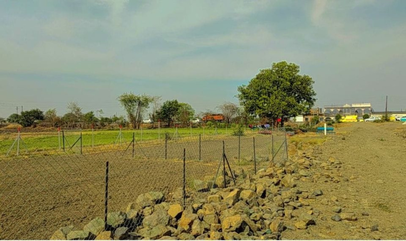  Agricultural Land 3500 Sq.ft. for Sale in Sanwer, Indore