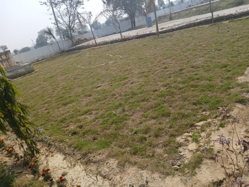  Residential Plot 100 Sq. Yards for Sale in Dankaur, Gautam Buddha Nagar