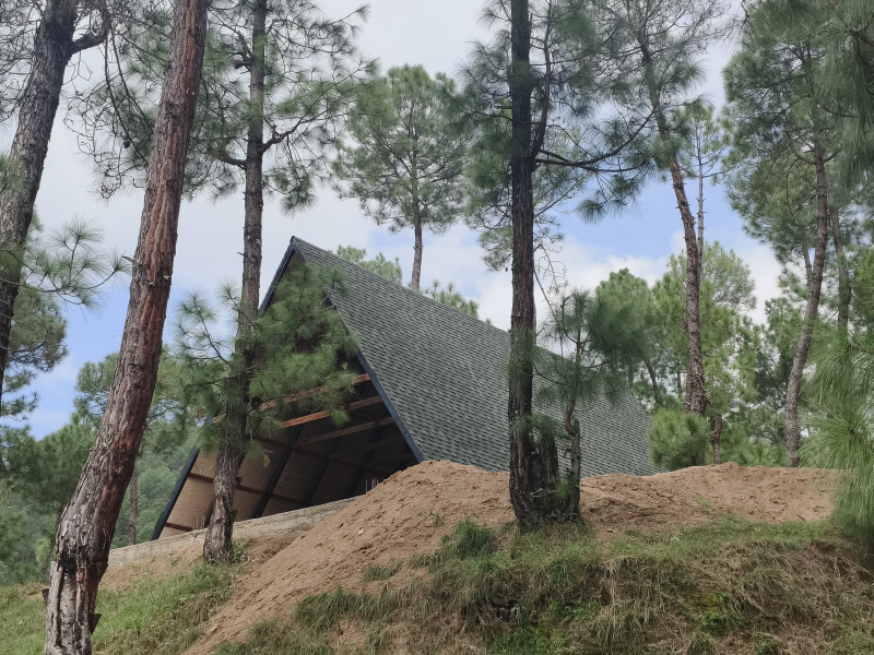 1.5 BHK Villa 1350 Sq.ft. for Sale in Petshal Almora