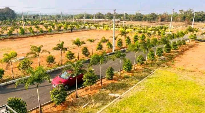  Residential Plot 150 Sq. Yards for Sale in Shadnagar, Hyderabad