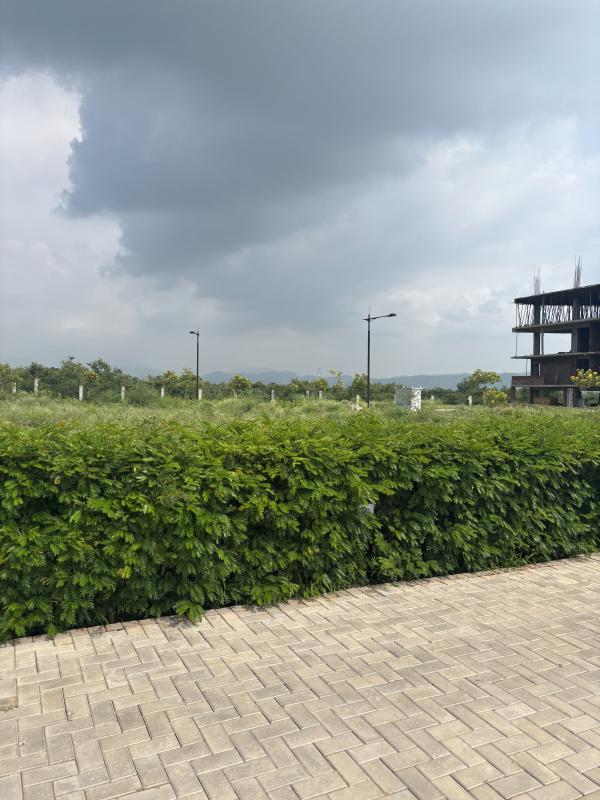 Amravati Enclave, Panchkula photo 3