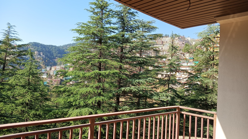 Panthaghati, Shimla photo 3