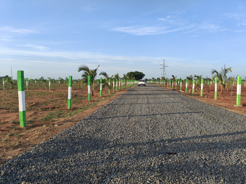  Agricultural Land 9600 Sq.ft. for Sale in Acharapakkam, Chengalpattu