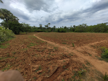  Agricultural Land for Sale in Achutapuram, Visakhapatnam