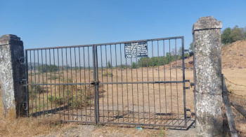  Agricultural Land 3 Acre for Sale in Umbergaon, Valsad