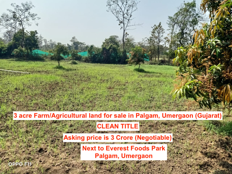  Agricultural Land 3 Acre for Sale in Umbergaon, Valsad