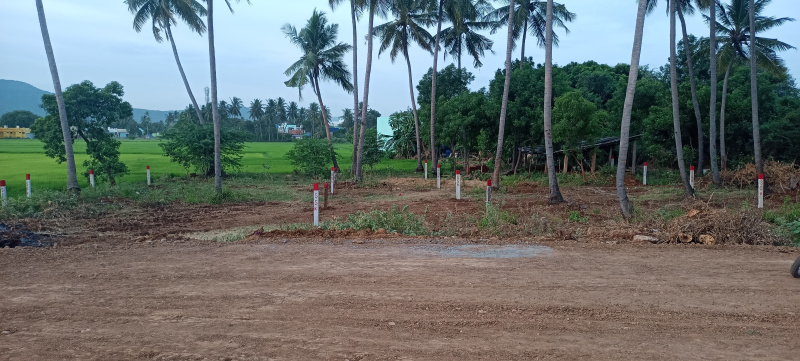  Residential Plot 5438 Sq.ft. for Sale in Alanganallur, Madurai