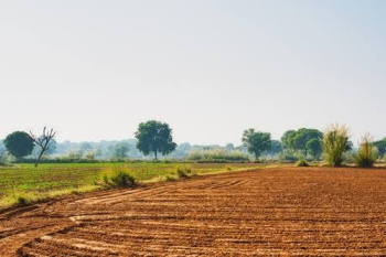  Agricultural Land for Sale in Green Park, Yamunanagar