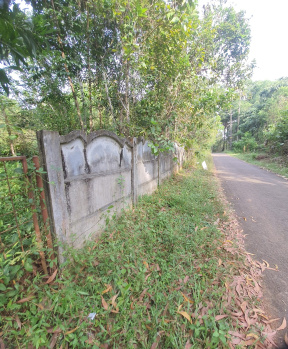  Industrial Land for Sale in Wadakkanchery, Thrissur