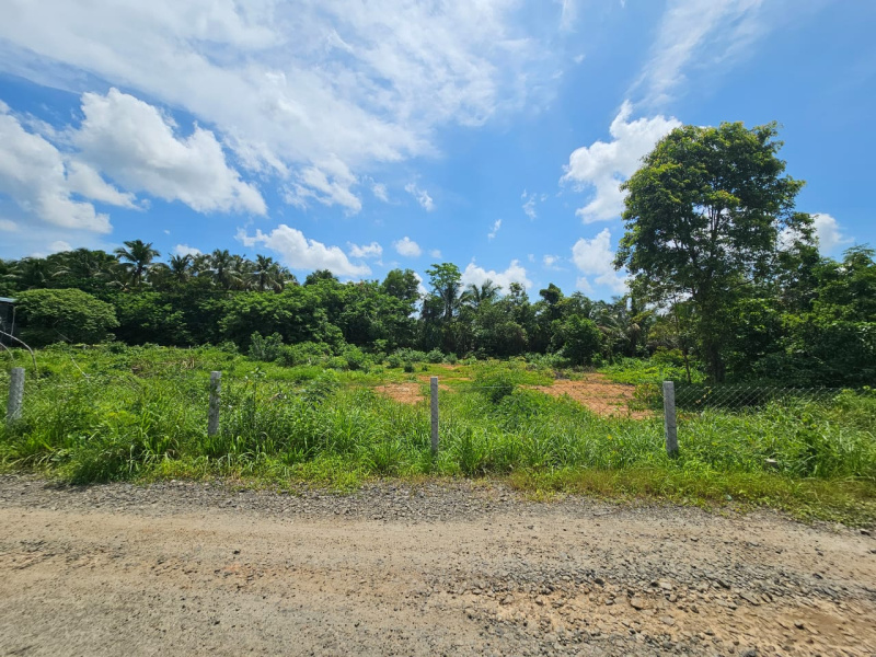  Residential Plot 66 Cent for Sale in Ayanthole, Thrissur