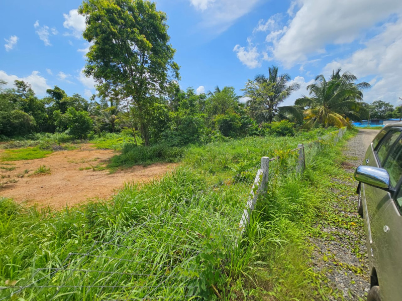  Residential Plot 66 Cent for Sale in Ayanthole, Thrissur