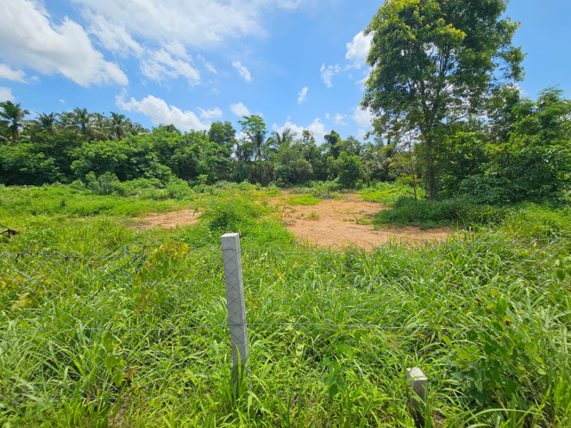  Residential Plot 66 Cent for Sale in Ayanthole, Thrissur