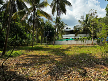  Commercial Land for Sale in Kechery, Thrissur