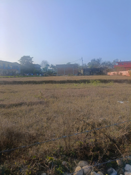  Residential Plot for Sale in Raiwala, Dehradun