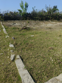  Residential Plot for Sale in Raiwala, Dehradun