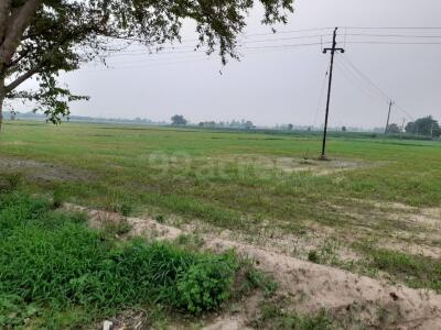  Residential Plot 125 Sq. Yards for Sale in Sector 120, Mohali