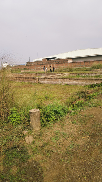  1200 Sq.ft. Residential Plot for Sale in Begampur, Patna