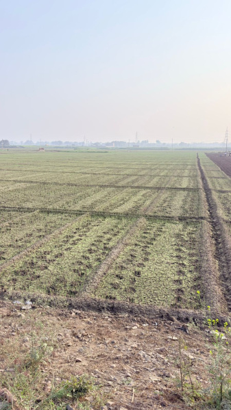  3600 Sq.ft. Commercial Land for Sale in Didarganj, Patna