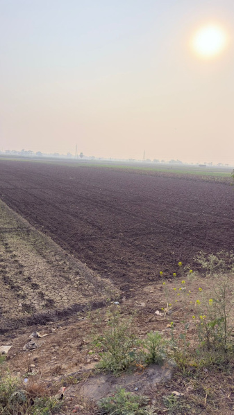  3600 Sq.ft. Commercial Land for Sale in Didarganj, Patna