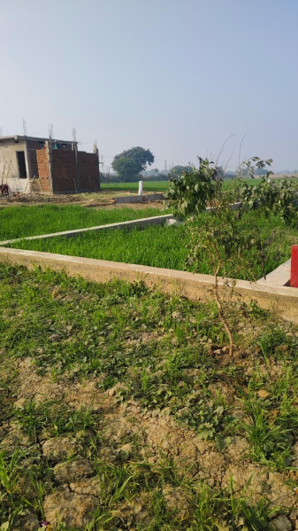 3600 Sq.ft. Residential Plot for Sale in Khusrupur, Patna