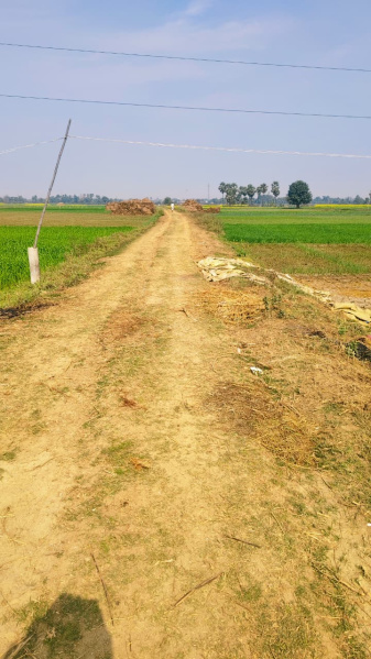  2400 Sq.ft. Residential Plot for Sale in Fatwah, Patna
