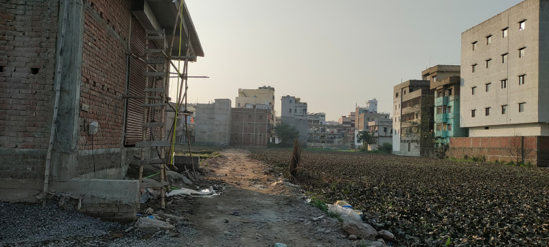 1200 Sq.ft. Residential Plot for Sale in Kumhrar, Patna