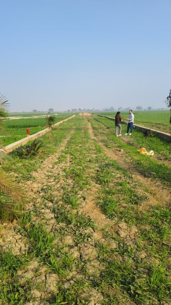  2400 Sq.ft. Residential Plot for Sale in Khushrupur, Patna