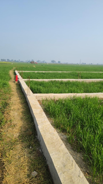  1800 Sq.ft. Residential Plot for Sale in Begampur, Patna