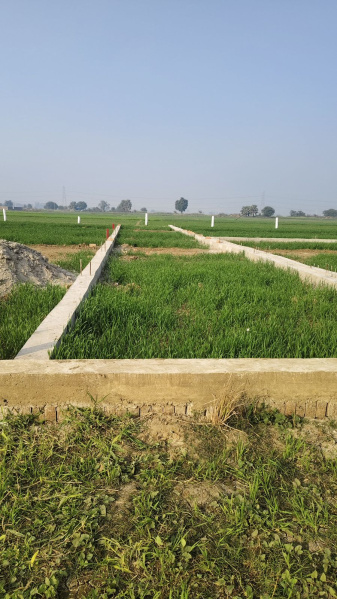  1800 Sq.ft. Residential Plot for Sale in Begampur, Patna