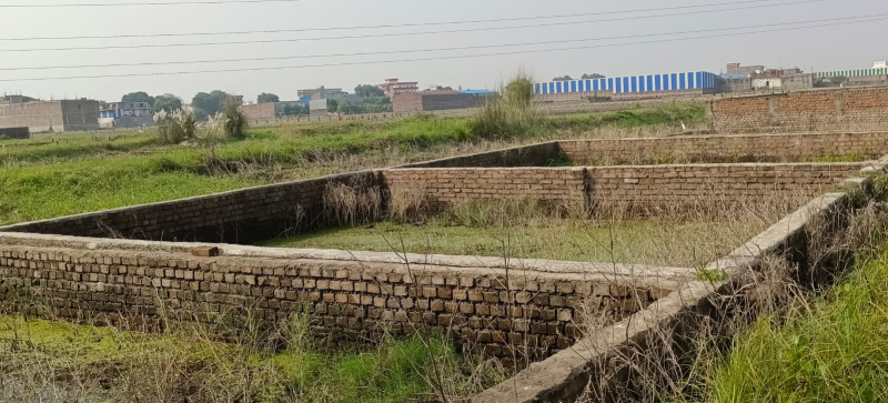  1000 Sq.ft. Residential Plot for Sale in Marchi, Patna