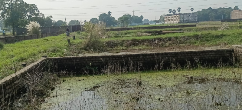  1000 Sq.ft. Residential Plot for Sale in Marchi, Patna
