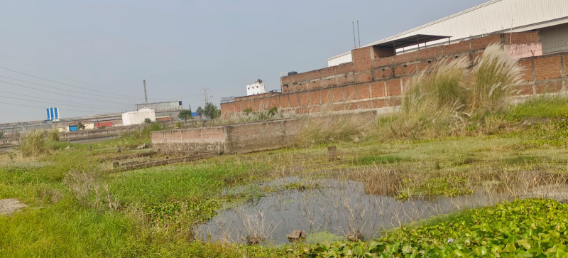  1000 Sq.ft. Residential Plot for Sale in Marchi, Patna